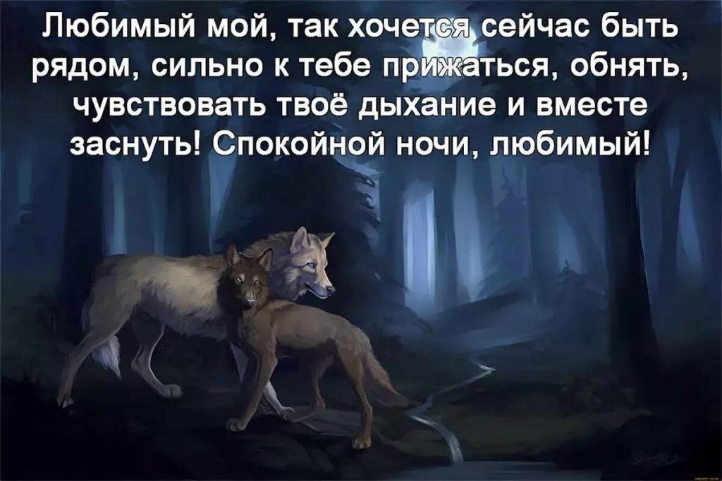 СМС спокойной ночи парню прикольные