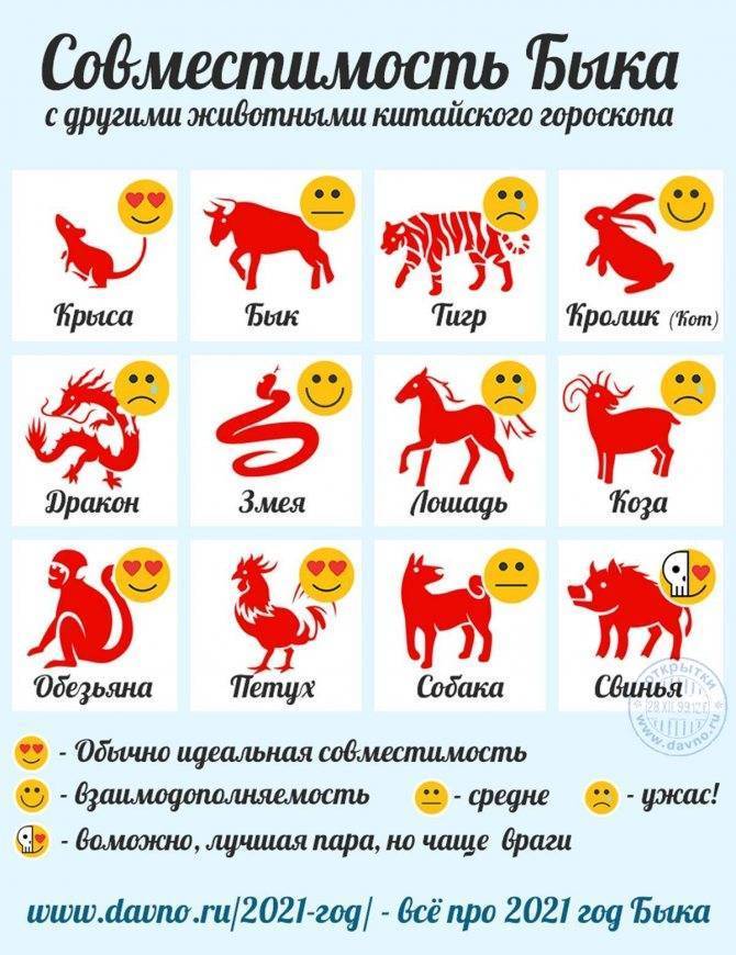 Новый год 2023 по восточному календарю - год 2023
