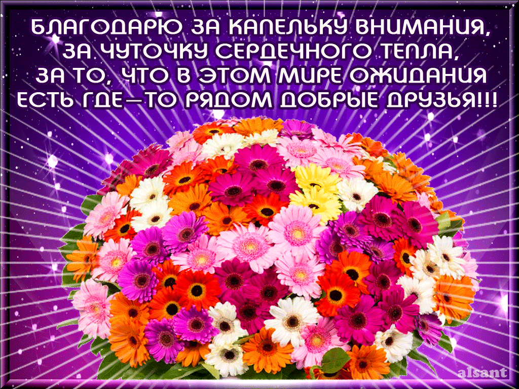 Статусы-благодарности в ответ на поздравления друзей | lovetrue.ru