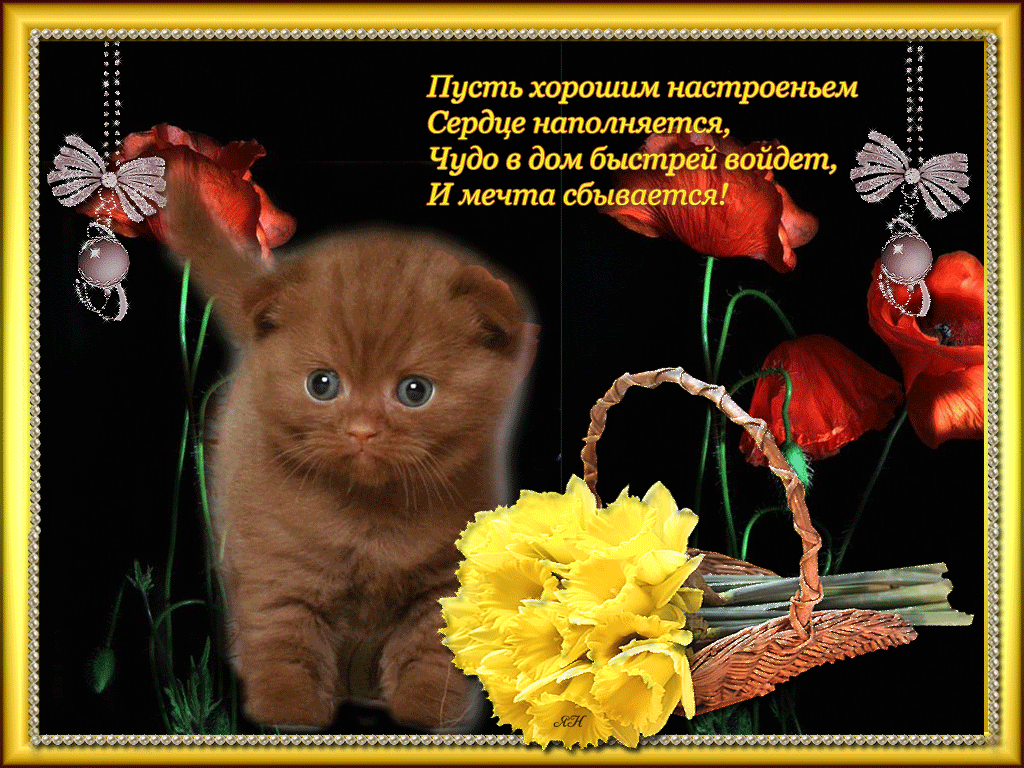 Открытки хорошего дня любимому парню