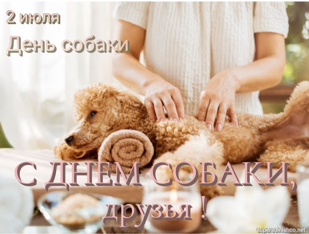 Стихи к подарку собака