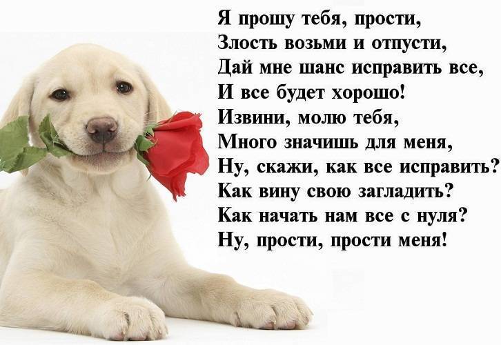 Трогательные слова извинения перед подругой своими словами