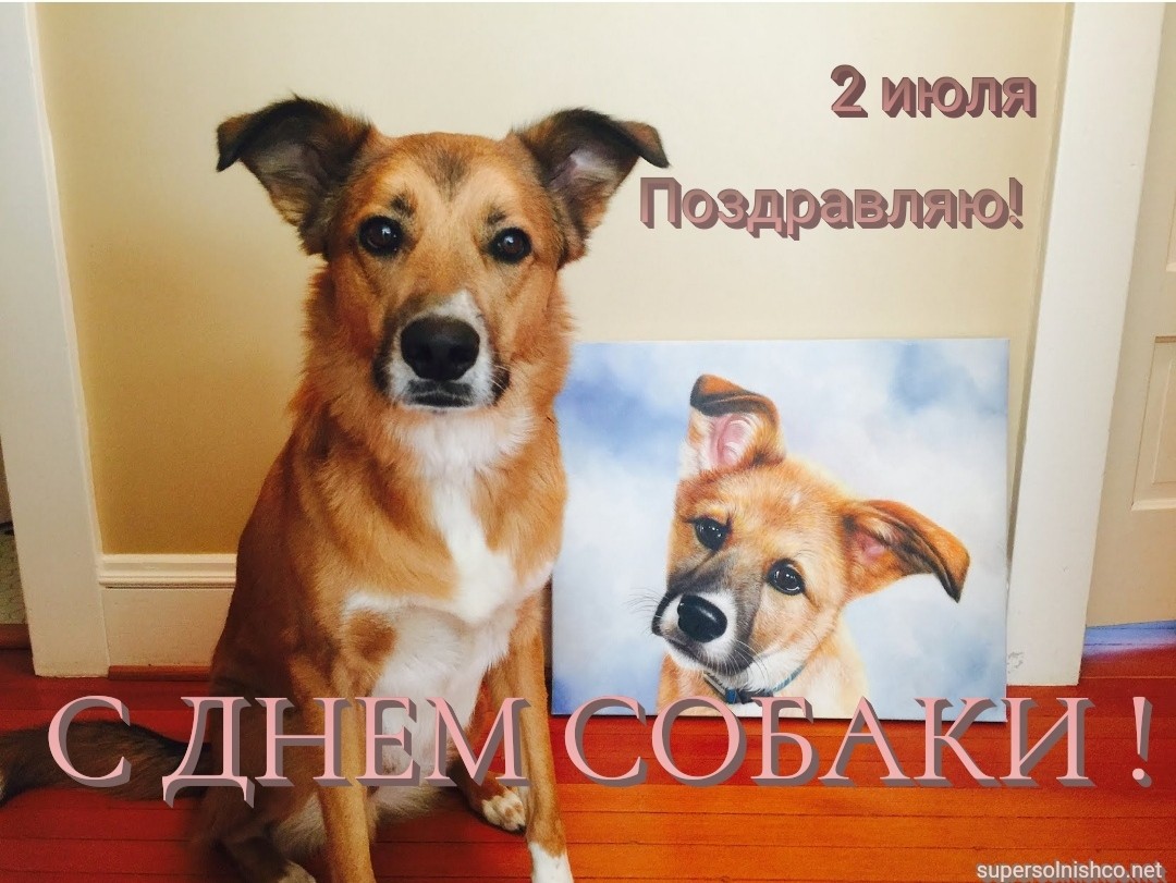 Стихи к подарку собака