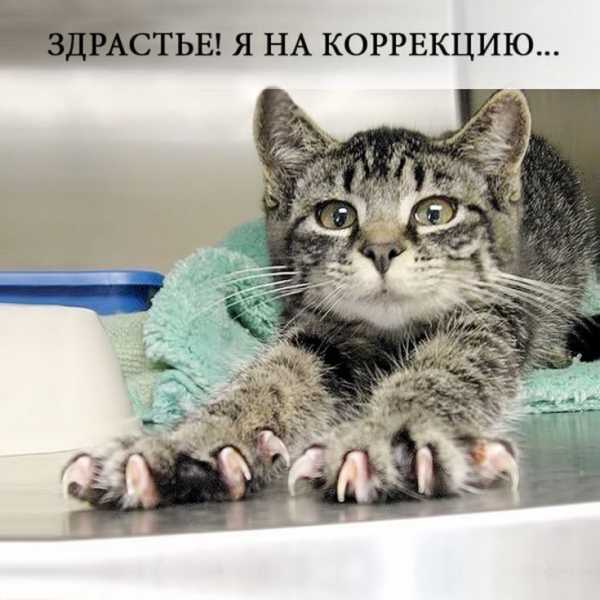 Прикольные поздравления с днем рождения маникюрше