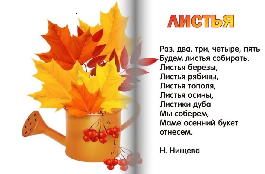 Стихи про осень короткие и красивые – наумёнок