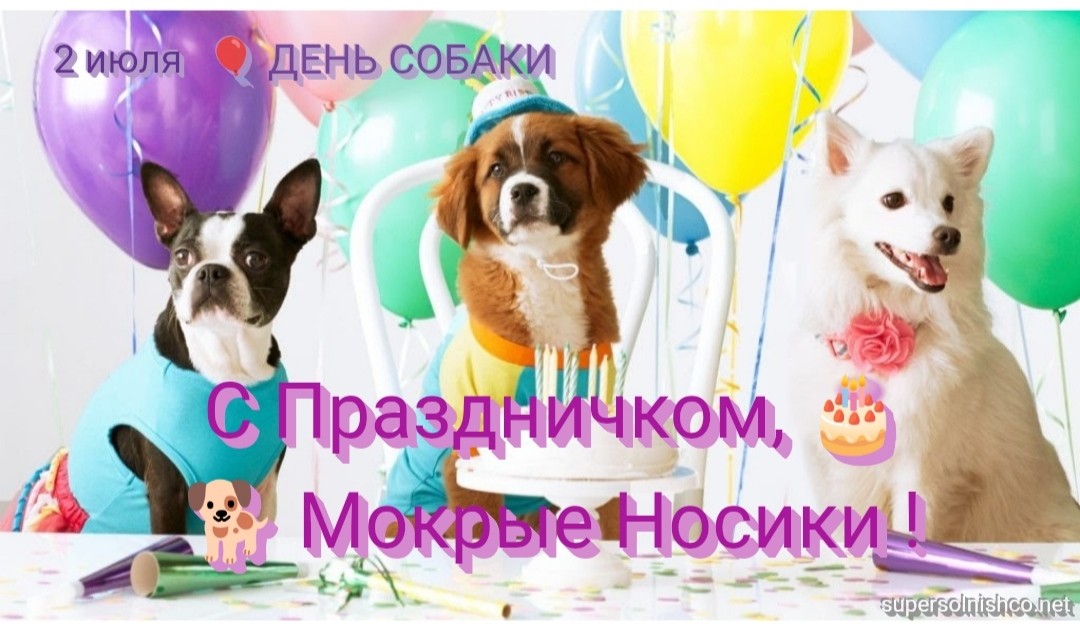 Стихи к подарку собака
