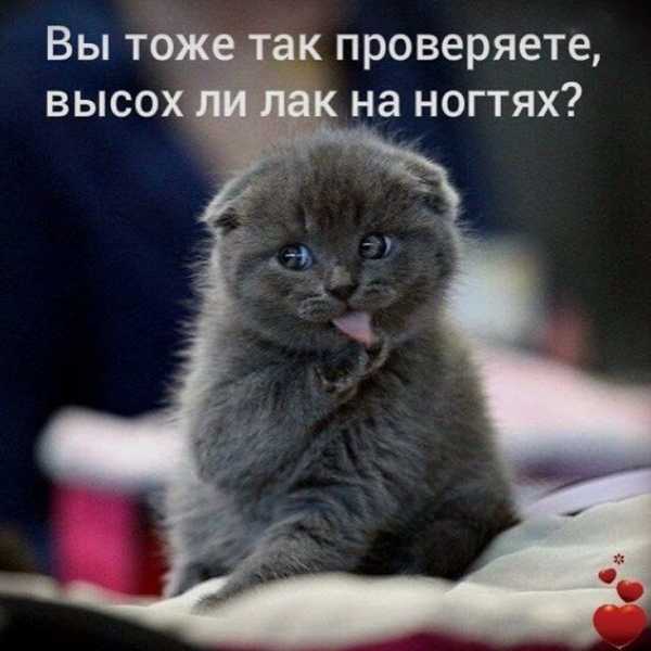 Прикольные поздравления с днем рождения маникюрше