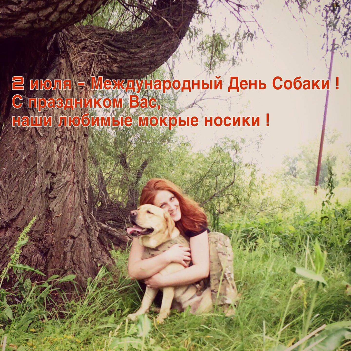Стихи к подарку собака