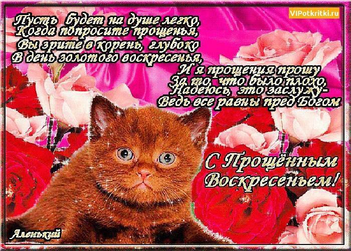 Как попросить прощения у подруги своими словами, в стихах и смс