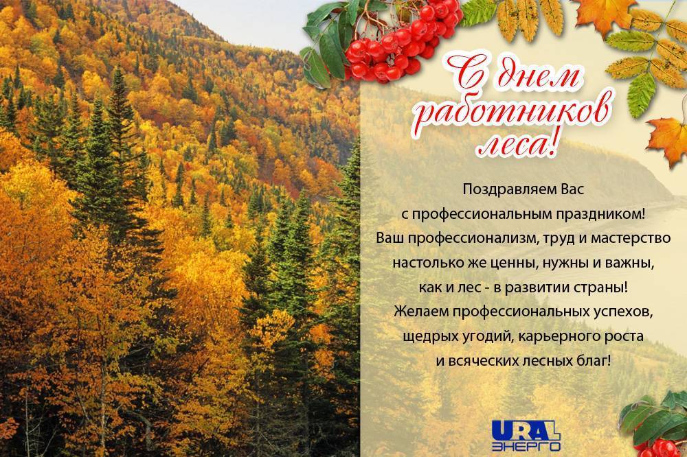 Поздравления работникам леса | стихоплет