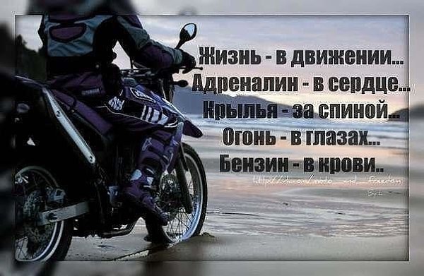 100+ коротких пожеланий мужчине на день рождения и 23 февраля в прозе | здравамама