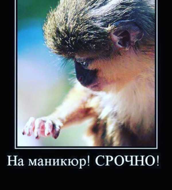 Прикольные поздравления с днем рождения маникюрше