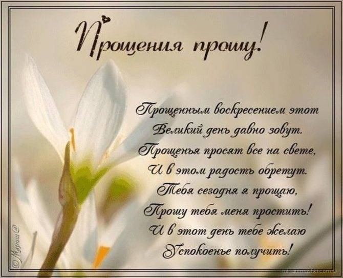 Стихи о прощении (слова извинения)