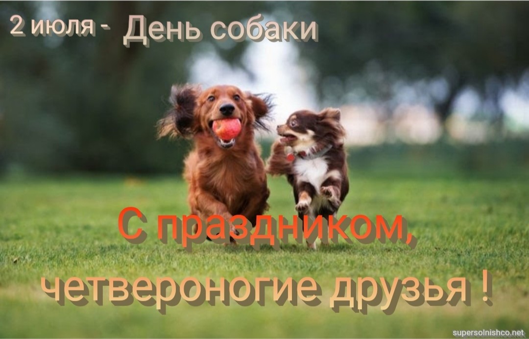 Стихи к подарку собака