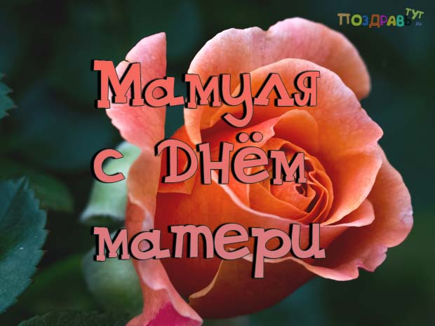 ПОЗДРАВЛЕНИЯ С ДНЕМ МАТЕРИ