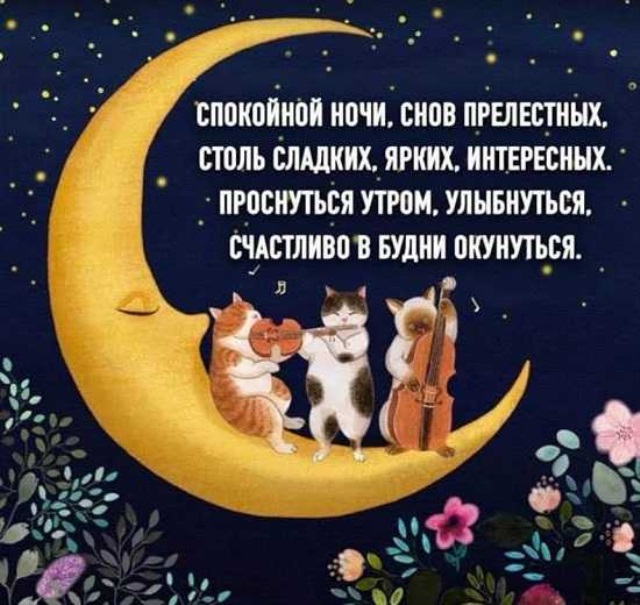 Пожелания спокойной ночи любимой девушке или женщине своими словами — красивые и короткие, которые подходят и для смс - people tips - люди советуют