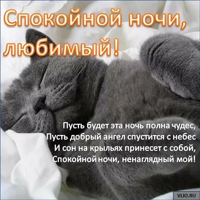 Пожелания спокойной ночи любимому мужчине: в прозе и стихах для парня и мужа, своими словами, короткие фразы в смс на расстоянии, какие картинки уместны