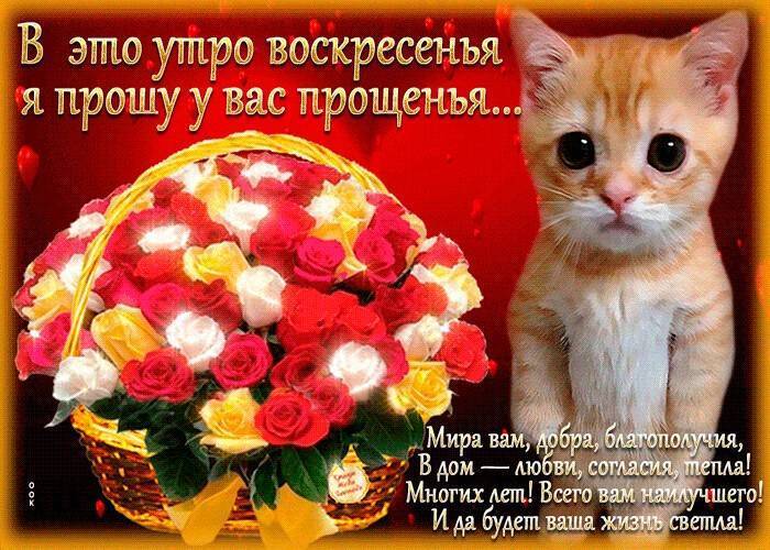 Трогательные слова извинения перед подругой