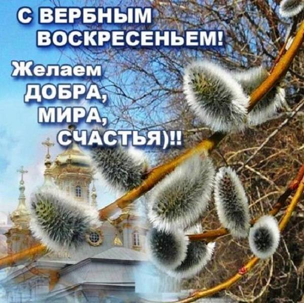 Короткие поздравления с вербным воскресеньем 2023 | ура позитив
